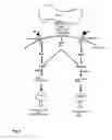 Fig. 02 - Method for the production of a cell and/or tissue and/or disease phase specific medicament
