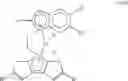 Fig. 08 - METALLOCENE COMPOUNDS BASED ON ETHANEDIYL-BRIDGED INDENE AND CYCLOPENTADITHIOPHENE LIGANDS
