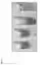 Fig. 02 - Production and use of highly functional, highly branched or hyperbranched polylysines