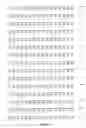 Fig. 28 - NELL peptide expression systems and bone formation activity of NELL peptide