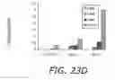 Fig. 58 - NELL peptide expression systems and bone formation activity of NELL peptide