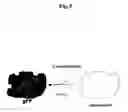 Fig. 06 - Process for producing coelenteramide or an analog thereof