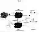 Fig. 07 - Process for producing coelenteramide or an analog thereof