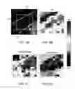 Fig. 07 - QUANTITATIVE SPECTROSCOPIC IMAGING