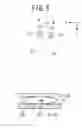 Fig. 06 - Biopsy apparatus and biopsy method