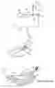 Fig. 01 - APPARATUS WITH ACTIVES FROM TISSUE