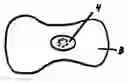 Fig. 01 - Sanitary enhanced absorption wick device