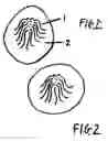 Fig. 02 - Sanitary enhanced absorption wick device