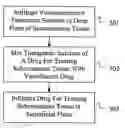 Fig. 01 - Drug delivery system for accelerated subcutaneous absorption