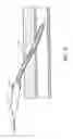 Fig. 02 - Transdermal venous access locking solution