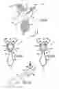Fig. 07 - Fixing devices and stabilization systems using said fixing devices