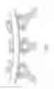 Fig. 02 - VARIABLE HEIGHT, MULTI-AXIAL BONE SCREW ASSEMBLY