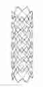 Fig. 01 - CYLINDRICAL STENT