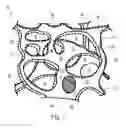 Fig. 02 - Reticulated elastomeric matrices, their manufacture and use in implantable devices