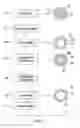 Fig. 06 - Reticulated elastomeric matrices, their manufacture and use in implantable devices