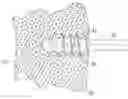 Fig. 01 - Multizone Implants