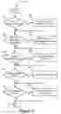 Fig. 06 - Quorum management of appointment scheduling