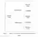 Fig. 02 - Identity Confidence Framework
