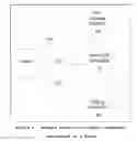 Fig. 03 - Identity Confidence Framework