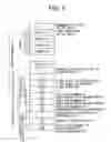 Fig. 06 - DISTRIBUTED PROCESSING SYSTEM