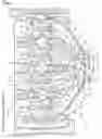 Fig. 02 - Multiple-cylinder internal combustion engine having cylinder head provided with centralized exhaust passageway
