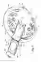 Fig. 06 - Kitchen appliance for heating foodstuff
