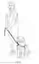Fig. 07 - Animal training apparatus
