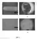 Fig. 03 - Titanium aluminide intermetallic alloys with improved wear resistance