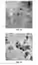 Fig. 12 - Techniques for controlling precipitate phase domain size in an alloy