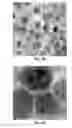 Fig. 13 - Techniques for controlling precipitate phase domain size in an alloy