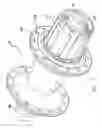 Fig. 08 - High efficiency bicycle hub