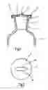 Fig. 02 - Container, particularly a beverage bottle
