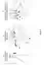 Fig. 08 - BOTTOM LOADING WATER COOLER