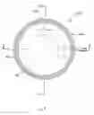 Fig. 03 - POWDER DISPENSING CONTAINER