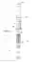 Fig. 14 - HEATED FUEL INJECTOR