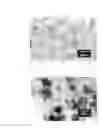 Fig. 02 - ITO powder and method of producing the same, coating material for transparent conductive material, and transparent conductive film