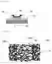 Fig. 02 - Semiconductor element