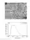 Fig. 04 - Metal ion sensor and fabricating method thereof