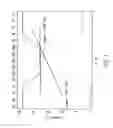 Fig. 06 - Ferroelectric thin films