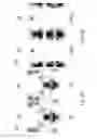 Fig. 07 - Ferroelectric thin films