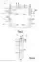 Fig. 03 - Active material head restraint assembly