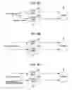 Fig. 09 - Information processing device, information processing method, and program