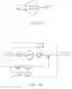 Fig. 76 - Camera sensing device for capturing and manipulating images