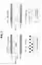 Fig. 02 - Reflector and manufacturing method thereof