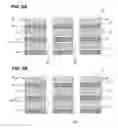 Fig. 06 - Circuit board, mounting structure, and method for manufacturing circuit board