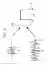 Fig. 07 - Method for direct chaotic communications with predetermined spectral mask