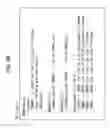 Fig. 35 - INFORMATION PROCESSING APPARATUS, INFORMATION PROCESSING METHOD, PROGRAM AND RECORDING MEDIUM