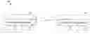 Fig. 01 - Training symbol format for adaptively power loaded MIMO