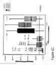 Fig. 10 - Method and system for image analysis