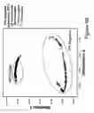 Fig. 22 - Method and system for image analysis